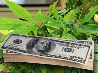 cannabis-money